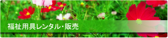 �K����i������A���ˁj