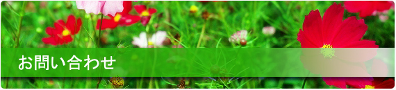 �K����i������A���ˁj